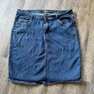Goannie Jeans Denim Skirt Women’s Size 16 Blue Embroidered Stretch Jean Skirt